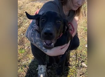 Borsod, Energiebündel sucht aktive Mensch