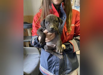 Lucas freut sich auf ein schönes Plätzchen