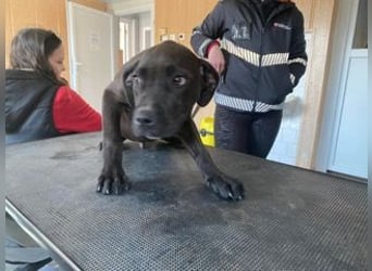 Lucas freut sich auf ein schönes Plätzchen