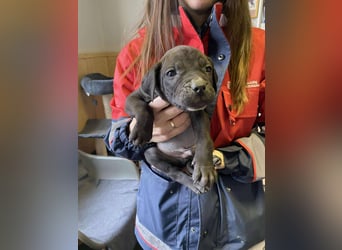 Lucas freut sich auf ein schönes Plätzchen