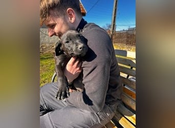 Lipot, einer von vielen Geschwisterchen