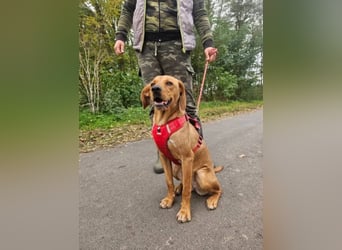 Mirtill, geboren 04.2025, 45cm sucht ihre Menschen