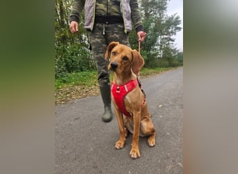 Mirtill, geboren 04.2025, 45cm sucht ihre Menschen