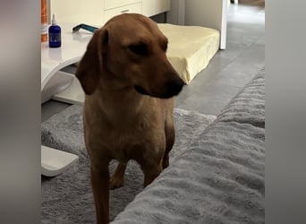 Raya eine ängstliche sanfte Seele