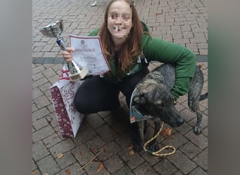 Finn  ein Gewinner, der verloren hat