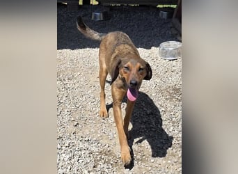 Freya eine gutmütige zarte Seele