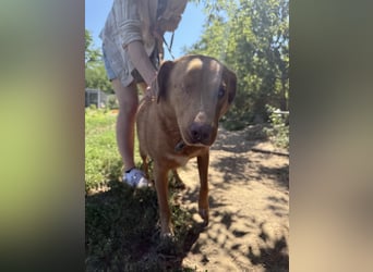 Jack träumt von einem eigenen Zuhause