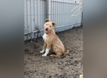 Arif sucht genau dich!