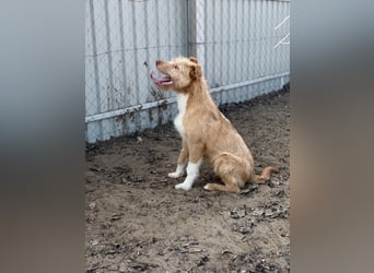 Arif sucht genau dich!