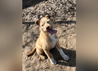 Arif sucht genau dich!