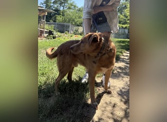 Jack träumt von einem eigenen Zuhause