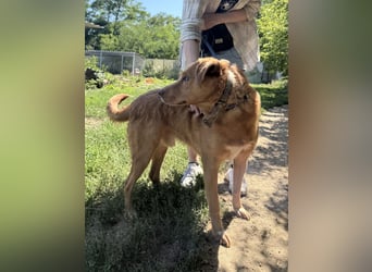 Jack träumt von einem eigenen Zuhause