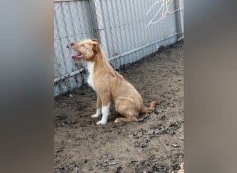 Arif sucht genau dich!