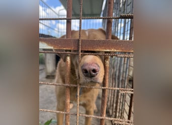 Mit Jack geht jeden Tag die Sonne 2x auf