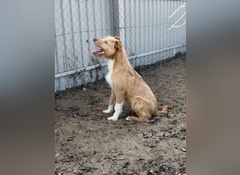 Arif sucht genau dich!