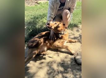 Mit Jack geht jeden Tag die Sonne 2x auf