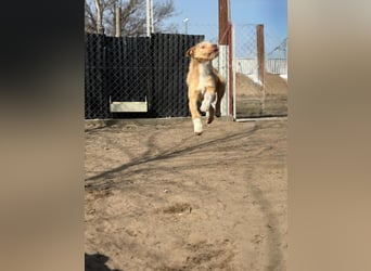 Arif sucht genau dich!