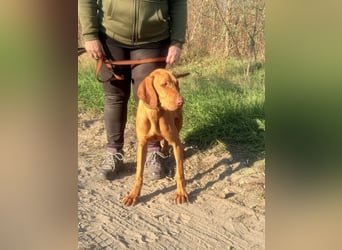 Scooba sucht ihren 6er im Lotto