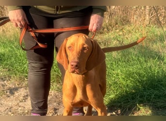 Scooba sucht ihren 6er im Lotto