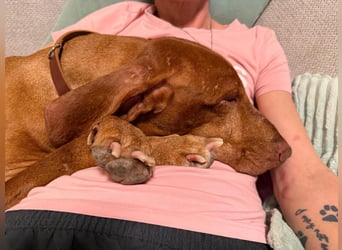 Rico ist in 15569 Woltersdorf/bei Berlin