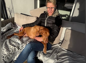 Rico ist in 15569 Woltersdorf/bei Berlin