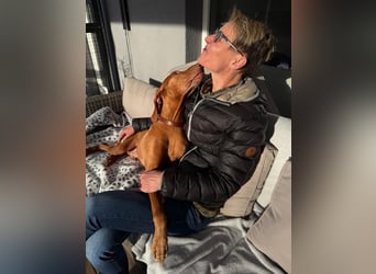 Rico ist in 15569 Woltersdorf/bei Berlin