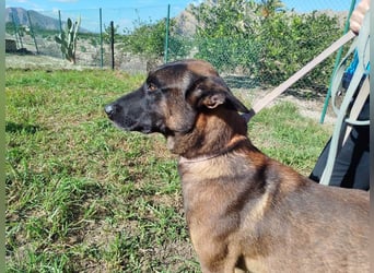 ❤️ BARBATE ❤️