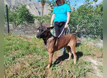 ❤️ BARBATE ❤️