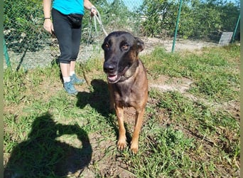 ❤️ BARBATE ❤️