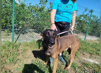 ❤️ BARBATE ❤️