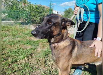 ❤️ BARBATE ❤️