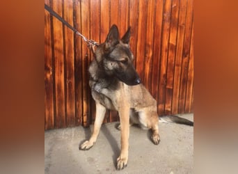 Gabe, muss unverschuldet ihr Zuhause verlassen