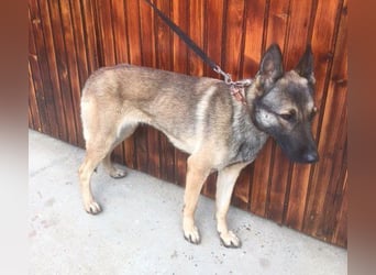 Gabe, muss unverschuldet ihr Zuhause verlassen