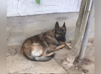 Gabe, muss unverschuldet ihr Zuhause verlassen