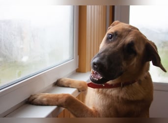 Junge hübsche Leia sucht Familie