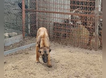 George, lieb und menschenbezogen