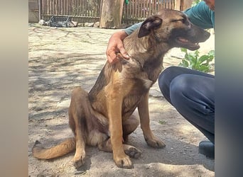 George, lieb und menschenbezogen