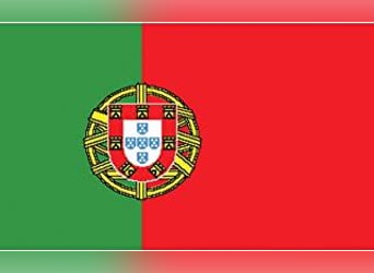 ❤️LOBINHA❤️