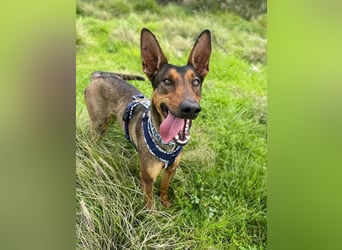 Mia (Spanien) – Elegante Schönheit sucht Neuanfang