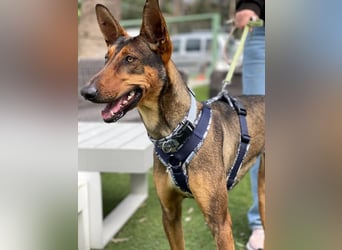 Mia (Spanien) – Elegante Schönheit sucht Neuanfang