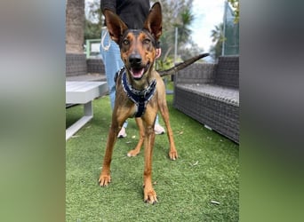 Mia (Spanien) – Elegante Schönheit sucht Neuanfang