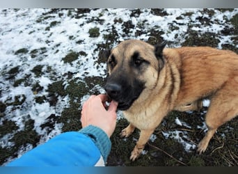 Tarik: sehnt sich nach Liebe