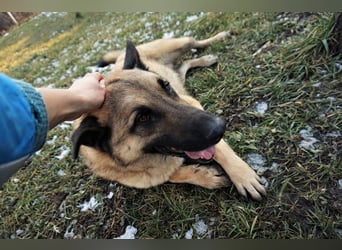 Tarik: sehnt sich nach Liebe