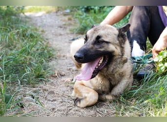 Tarik: sehnt sich nach Liebe