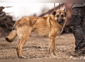 Tarik: sehnt sich nach Liebe