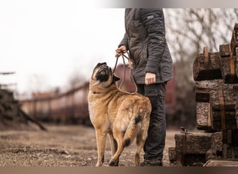 Tarik: sehnt sich nach Liebe