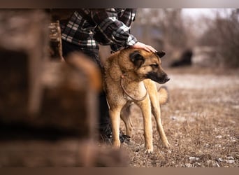 Tarik: sehnt sich nach Liebe