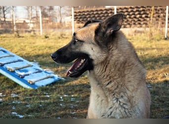 Tarik: sehnt sich nach Liebe