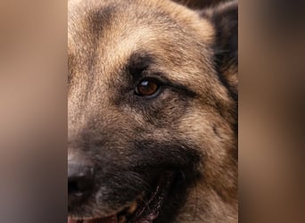 Tarik: sehnt sich nach Liebe