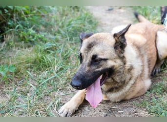 Tarik: sehnt sich nach Liebe